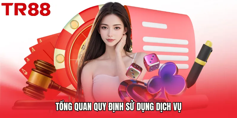 Tổng quan quy định sử dụng dịch vụ